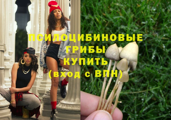 молекула духа Киренск