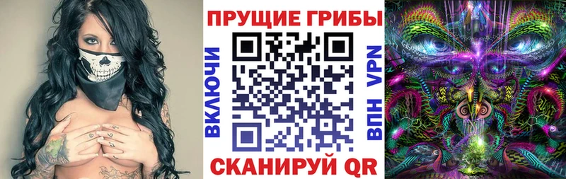 Галлюциногенные грибы ЛСД  Судак 